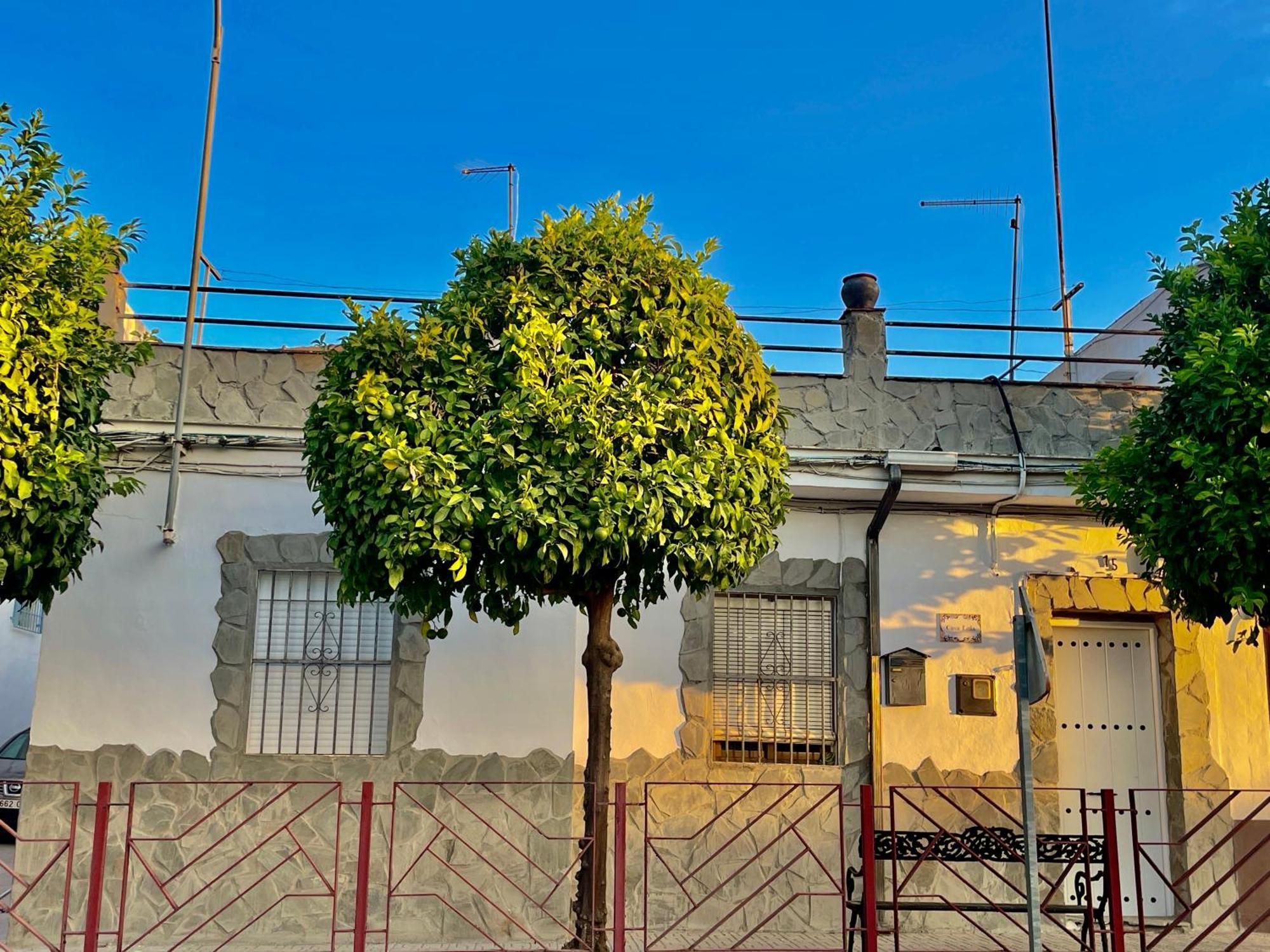 Casa Lula Vakantiehuis *
